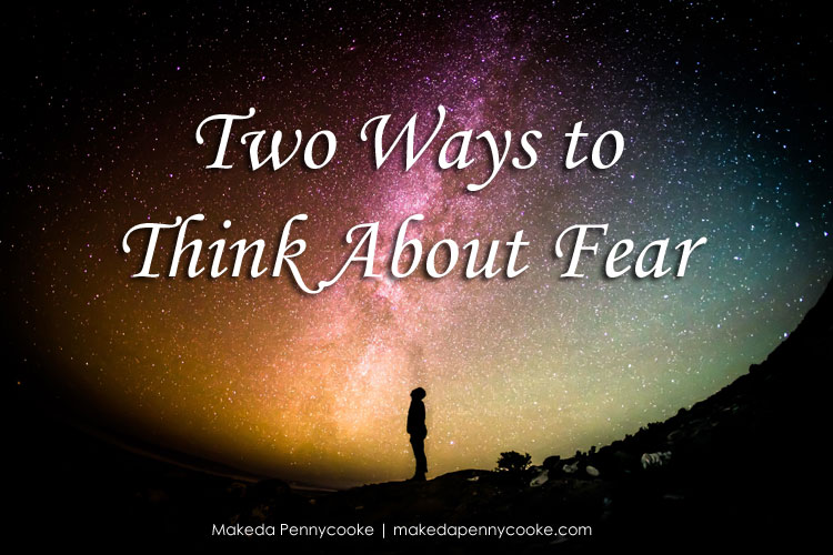 two-types-of-fear-makeda-pennycooke